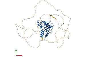 AlphaFold protein structure predicition of Human Recombinant MLLT3 Protein, UniprotID P42568