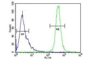 Flow Cytometry (FACS) image for anti-IMP3, U3 Small Nucleolar Ribonucleoprotein (IMP3) (AA 156-184) antibody (ABIN3028732)