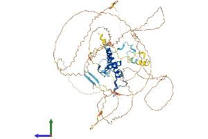 AlphaFold protein structure predicition of Mouse Recombinant Dnttip2 Protein, UniprotID Q8R2M2 (DNTTIP2 Protein (AA 1-758) (His tag))