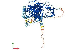 Protein Structure (PS) image for Arsenic (+3 Oxidation State) Methyltransferase (AS3MT) (AA 1-375) protein (His tag) (ABIN7552392)