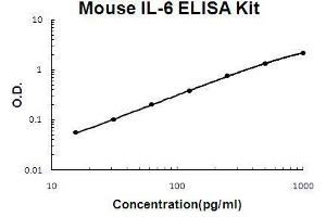 Mouse IL-6 PicoKine ELISA Kit standard curve (IL-6 ELISA 试剂盒)