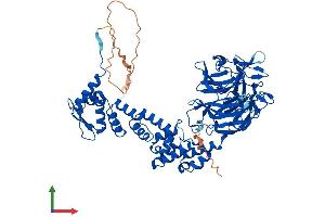 Protein Structure (PS) image for Kelch-Like 13 (KLHL13) (AA 1-654) protein (His tag) (ABIN7558319)