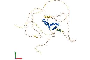 Protein Structure (PS) image for Transcription Factor 7 (T-Cell Specific, HMG-Box) (TCF7) (AA 1-384) protein (His tag) (ABIN7544271)