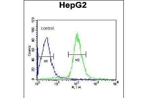 Flow cytometric analysis of HepG2 cells (right histogram) compared to a negative control cell (left histogram). (CCDC85B 抗体  (AA 69-96))
