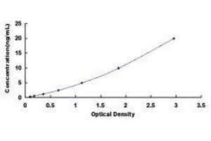 ELISA image for Endothelin Receptor Type A (EDNRA) ELISA Kit (ABIN415294)