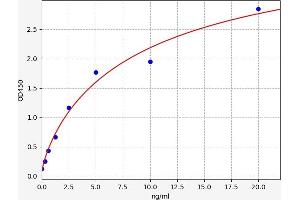 Typical standard curve (EIF6 ELISA 试剂盒)
