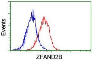 Image no. 2 for anti-Zinc Finger, AN1-Type Domain 2B (ZFAND2B) antibody (ABIN1501807)
