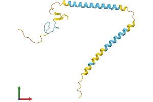 Protein Structure (PS) image for SFRS12-Interacting Protein 1 (SFRS12IP1) (AA 1-153) protein (His tag) (ABIN7557396)