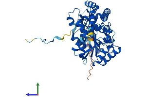 AlphaFold protein structure predicition of Human Recombinant GOT1L1 Protein, UniprotID Q8NHS2