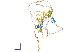 Protein Structure (PS) image for Scratch Homolog 1, Zinc Finger Protein (SCRT1) (AA 1-348) protein (His tag) (ABIN7545863)