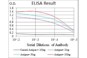 Red: Control Antigen (100ng) ; Purple: Antigen (10ng) ; Green: Antigen (50ng) ; Blue: Antigen (100ng). (BPIFB1 抗体)