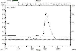 Size-exclusion chromatography-High Pressure Liquid Chromatography (SEC-HPLC) image for Emopamil Binding Protein (Sterol Isomerase) (EBP) (AA 2-230) protein (rho-1D4 tag) (ABIN3100004)