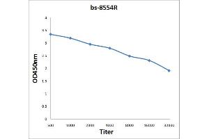 anti-HBB + HBD (AA 51-147) antibody