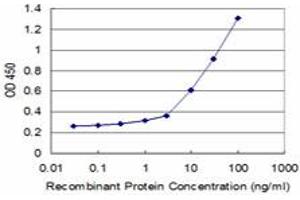 Detection limit for recombinant GST tagged ICOSLG is approximately 1ng/ml as a capture antibody. (ICOSLG 抗体  (AA 20-302))