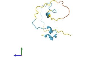 Protein Structure (PS) image for Small Muscle Protein, X-Linked (SMPX) (AA 1-88) protein (Fc Tag) (ABIN7546133)