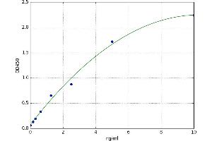 A typical standard curve