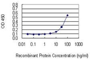 Detection limit for recombinant GST tagged POFUT1 is 3 ng/ml as a capture antibody. (POFUT1 抗体  (AA 85-194))