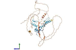 AlphaFold protein structure predicition of Human Recombinant WT1 Protein, UniprotID P19544