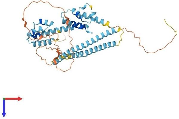 Arc Protein (AA 1-396) (His tag)