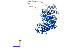 Protein Structure (PS) image for tRNA Methyltransferase 12 Homolog (TRMT12) (AA 1-446) protein (His tag) (ABIN7558530)