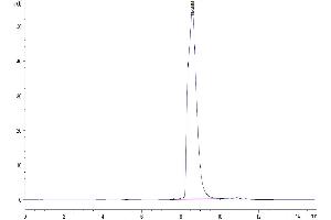Size-exclusion chromatography-High Pressure Liquid Chromatography (SEC-HPLC) image for Lymphocyte-Activation Gene 3 (LAG3) (AA 23-434) protein (His-Avi Tag,Biotin) (ABIN7275115)