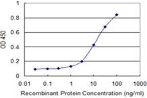 Detection limit for recombinant GST tagged SIGLEC12 is 0. (SIGLEC12 抗体  (AA 503-595))
