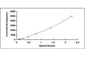 Typical standard curve (MMP12 ELISA 试剂盒)