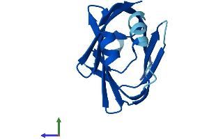 AlphaFold protein structure predicition of Mouse Recombinant Fabp12 Protein, UniprotID Q9DAK4