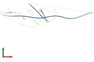 Protein Structure (PS) image for Sperm Associated Antigen 5 (SPAG5) (AA 1-1193) protein (His tag) (ABIN7555563)