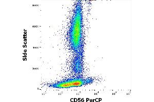 Flow cytometry surface staining pattern of human peripheral whole blood stained using anti-human CD56 (LT56) PerCP antibody (10 μL reagent / 100 μL of peripheral whole blood). (CD56 抗体  (PerCP))