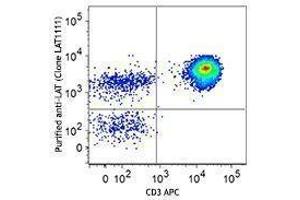 Flow Cytometry (FACS) image for anti-Linker For Activation of T Cells (LAT) antibody (ABIN2666080) (LAT 抗体)