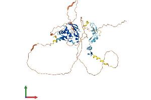 Protein Structure (PS) image for Zinc Finger and BTB Domain Containing 32 (ZBTB32) (AA 1-487) protein (His tag) (ABIN7545426)