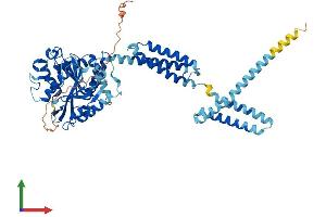 Protein Structure (PS) image for Atlastin GTPase 2 (ATL2) (AA 1-583) protein (His tag) (ABIN7558024)