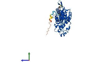 AlphaFold protein structure predicition of Mouse Recombinant Tpst2 Protein, UniprotID O88856