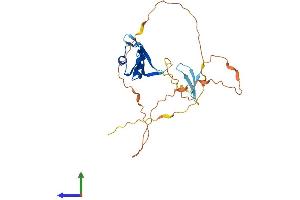 Protein Structure (PS) image for Bol, Boule-Like (BOLL) (AA 1-283) protein (His tag) (ABIN7552640)