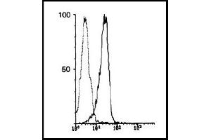 Flow Cytometry (FACS) image for anti-Carboxypeptidase M (CPM) antibody (ABIN786856) (CPM 抗体)