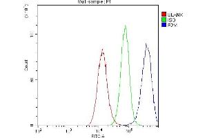 Flow Cytometry analysis of U251 cells using anti- Beta 2 Microglobulin antibody (ABIN5518810).