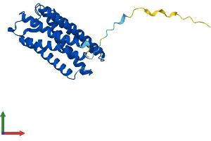 AlphaFold protein structure predicition of Human Recombinant TMEM150B Protein, UniprotID A6NC51