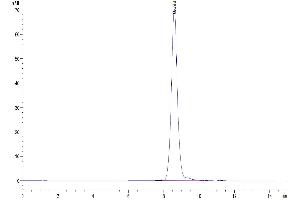 Size-exclusion chromatography-High Pressure Liquid Chromatography (SEC-HPLC) image for Hemopexin (HPX) (AA 24-462) protein (His tag) (ABIN7274827)
