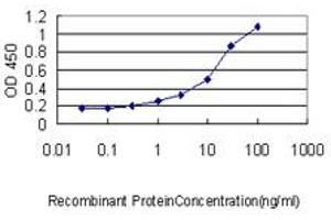 ELISA image for anti-Serine--tRNA Ligase, Cytoplasmic-Like (AA 1-515) antibody (ABIN598916) (Serine--tRNA Ligase, Cytoplasmic-Like (AA 1-515) 抗体)