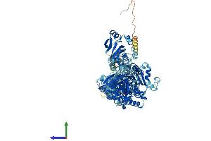 Protein Structure (PS) image for ATPase, Na+/K+ Transporting, alpha 4 Polypeptide (ATP1A4) (AA 1-1029) protein (His tag) (ABIN7552420)
