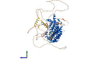 AlphaFold protein structure predicition of Human Recombinant PPP6R3 Protein, UniprotID Q5H9R7
