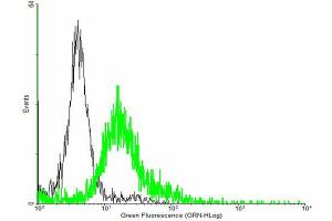 FACS analysis of negative control 293 cells (Black) and MYOC expressing 293 cells (Green) using MYOC purified MaxPab mouse polyclonal antibody.
