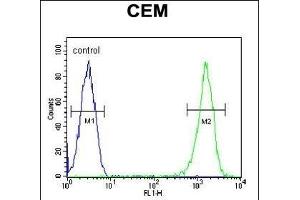RCN3 Antibody (Center) (ABIN651973 and ABIN2840479) flow cytometric analysis of CEM cells (right histogram) compared to a negative control cell (left histogram). (RCN3 抗体  (AA 134-163))