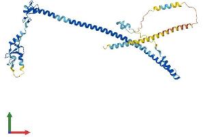 Protein Structure (PS) image for Tripartite Motif Containing 13 (TRIM13) (AA 1-407) protein (His tag) (ABIN7560750)