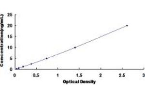 Typical standard curve (CDCP1 ELISA 试剂盒)