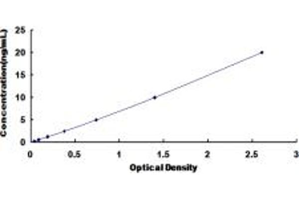 CDCP1 ELISA 试剂盒