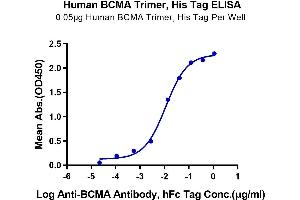 ELISA image for Tumor Necrosis Factor Receptor Superfamily, Member 17 (TNFRSF17) (AA 1-54), (Trimer) protein (His-Avi Tag) (ABIN7273941)