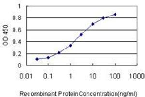 Detection limit for recombinant GST tagged HAMP is approximately 0. (Hepcidin 抗体  (AA 25-84))