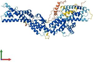 Protein Structure (PS) image for Tubulin, gamma Complex Associated Protein 4 (TUBGCP4) (AA 1-667) protein (His tag) (ABIN7560988)